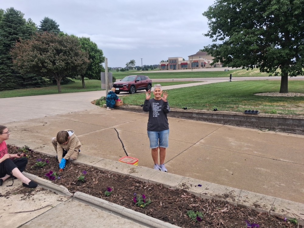 People planting purple flowers along a sidewalk while a woman stands nearby with both hands raised